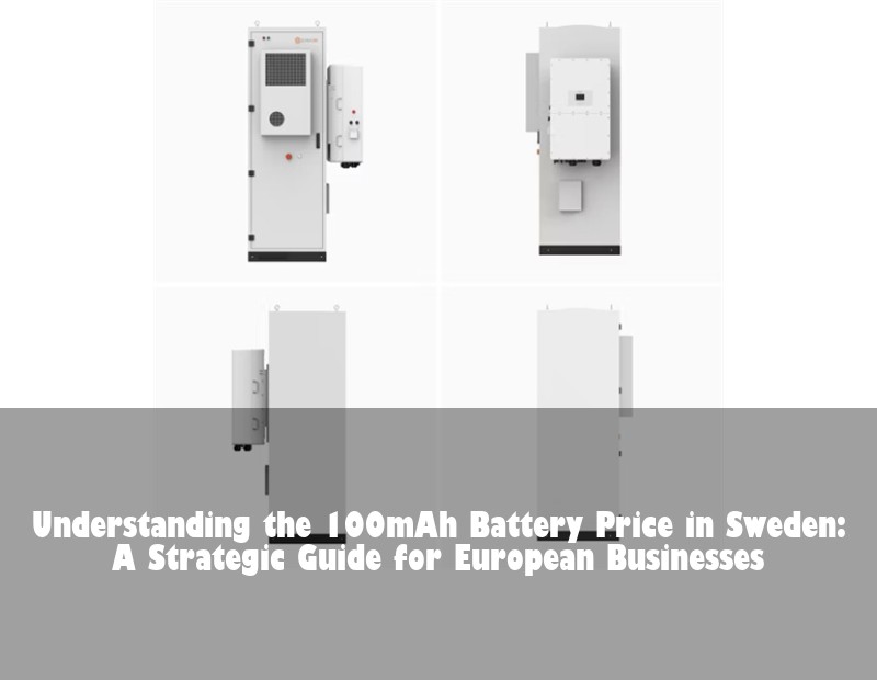 Understanding the 100mAh Battery Price in Sweden: A Strategic Guide for European Businesses