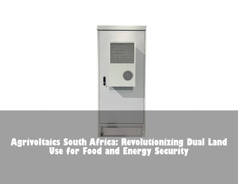 Agrivoltaics South Africa: Revolutionizing Dual Land Use for Food and Energy Security