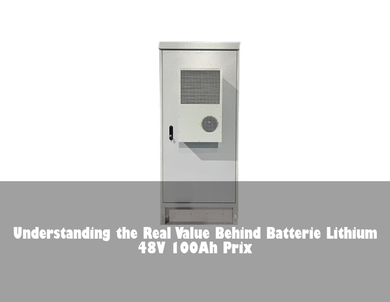 Understanding the Real Value Behind Batterie Lithium 48V 100Ah Prix