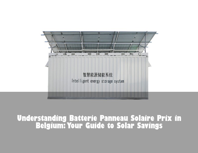 Understanding Batterie Panneau Solaire Prix in Belgium: Your Guide to Solar Savings