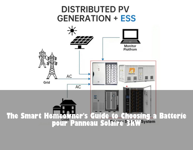 The Smart Homeowner's Guide to Choosing a Batterie pour Panneau Solaire 3kW