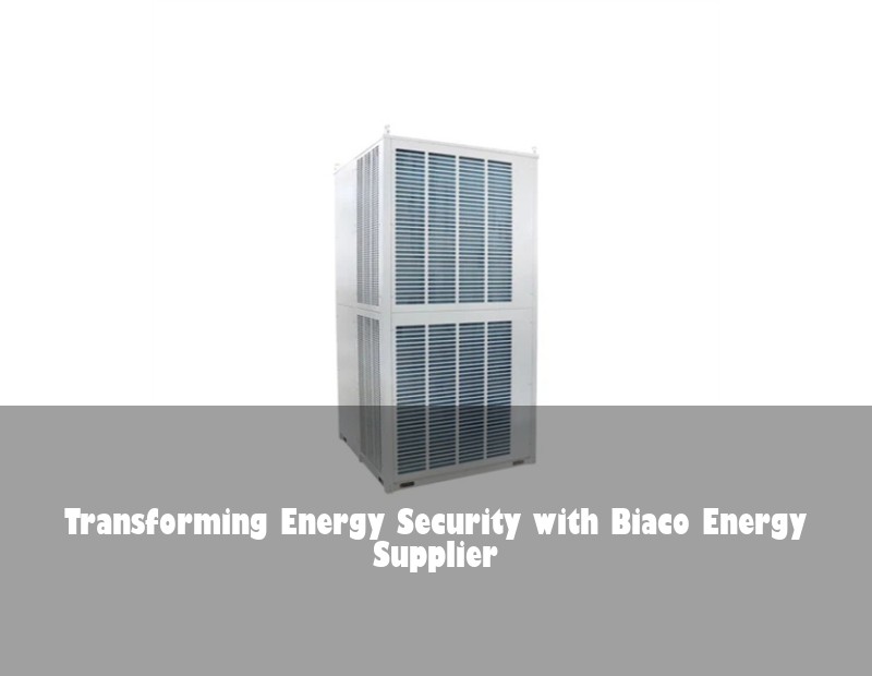 Transforming Energy Security with Biaco Energy Supplier