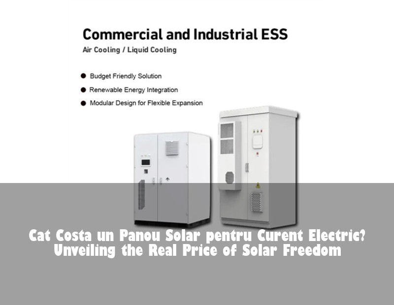 Cat Costa un Panou Solar pentru Curent Electric? Unveiling the Real Price of Solar Freedom