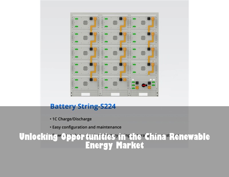 Unlocking Opportunities in the China Renewable Energy Market