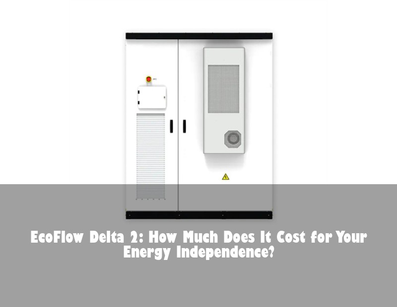 EcoFlow Delta 2: How Much Does It Cost for Your Energy Independence? | Huijue Solar