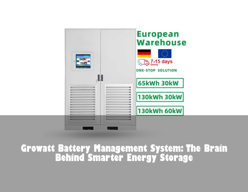 Growatt Battery Management System: The Brain Behind Smarter Energy Storage
