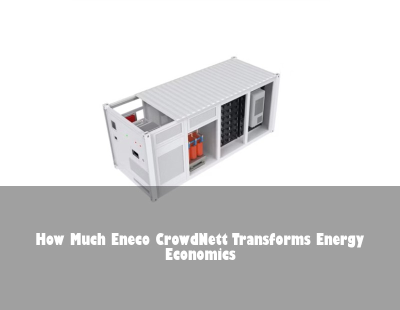How Much Eneco CrowdNett Transforms Energy Economics