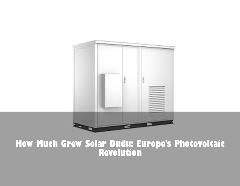 How Much Grew Solar Dudu: Europe's Photovoltaic Revolution
