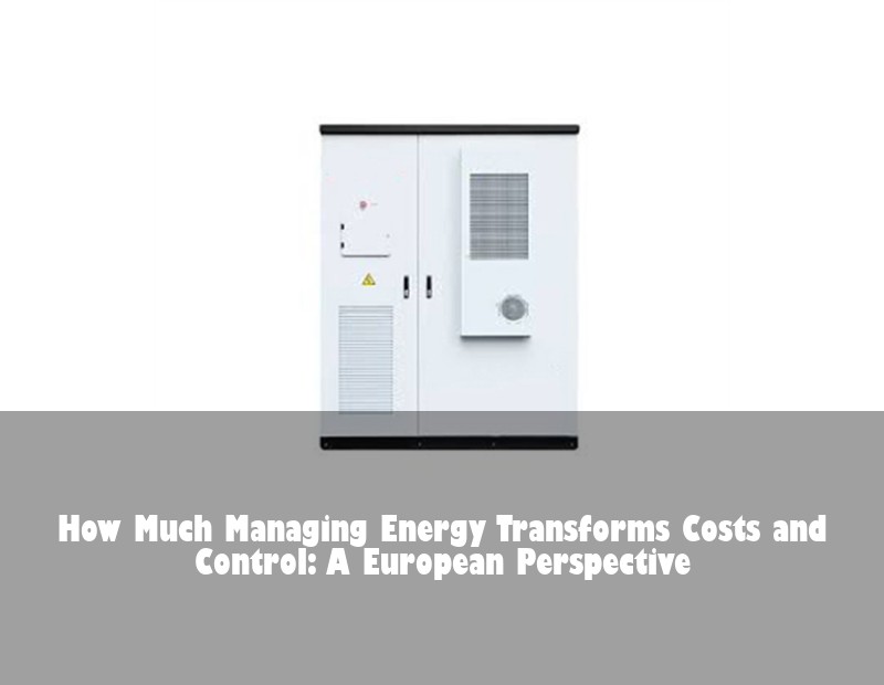How Much Managing Energy Transforms Costs and Control: A European Perspective