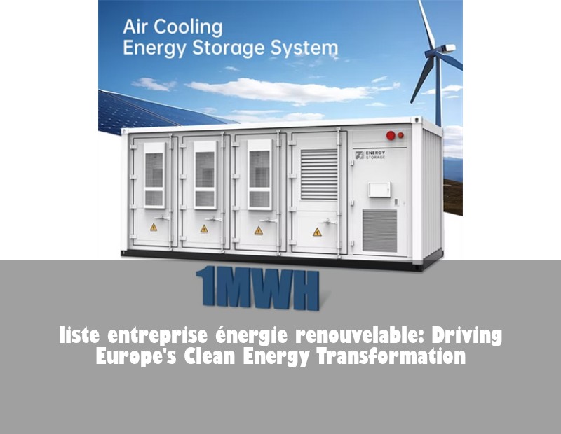liste entreprise énergie renouvelable: Driving Europe's Clean Energy Transformation