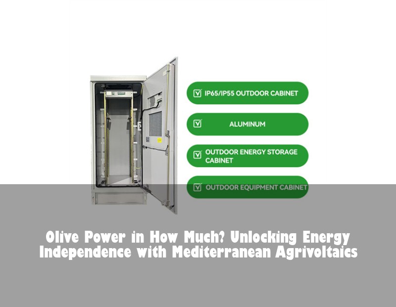 Olive Power in How Much? Unlocking Energy Independence with Mediterranean Agrivoltaics
