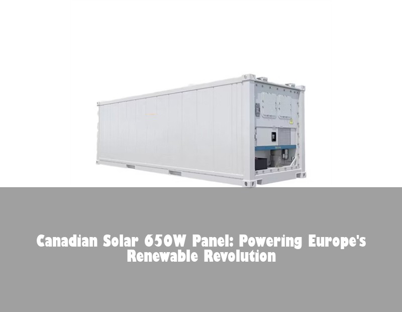 Canadian Solar 650W Panel: Powering Europe's Renewable Revolution