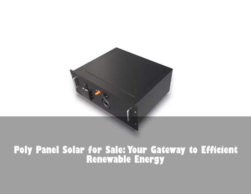 Poly Panel Solar for Sale: Your Gateway to Efficient Renewable Energy