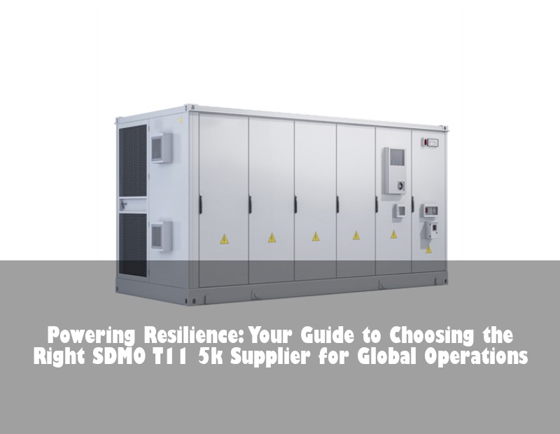 Powering Resilience: Your Guide to Choosing the Right SDMO T11 5k Supplier for Global Operations