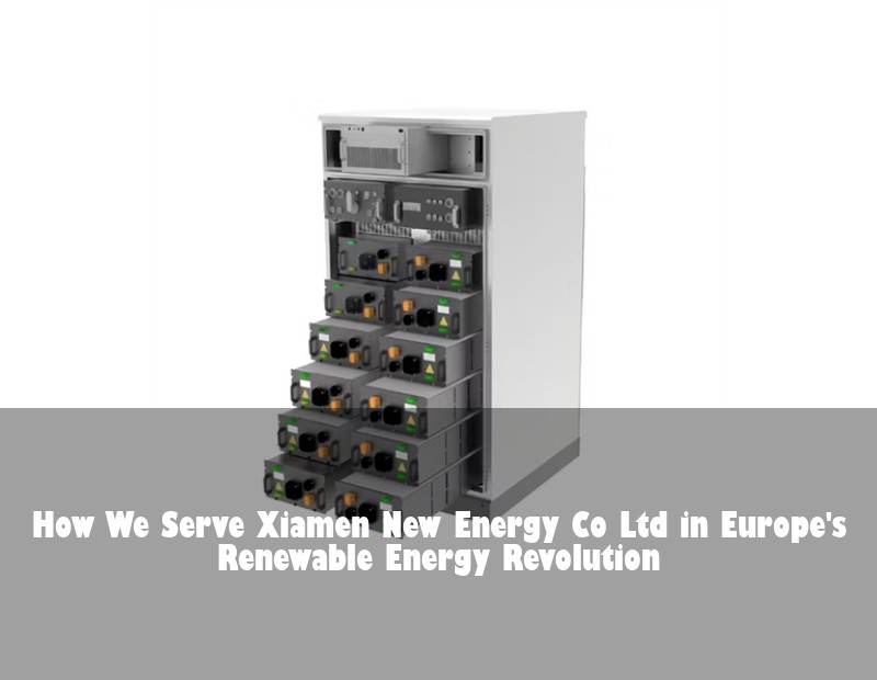 How We Serve Xiamen New Energy Co Ltd in Europe's Renewable Energy Revolution