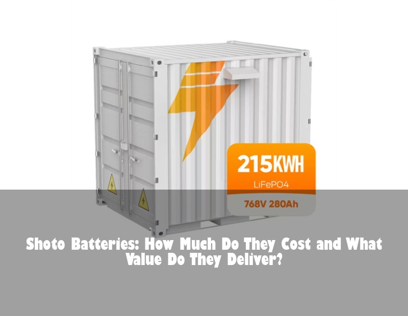 Shoto Batteries: How Much Do They Cost and What Value Do They Deliver?
