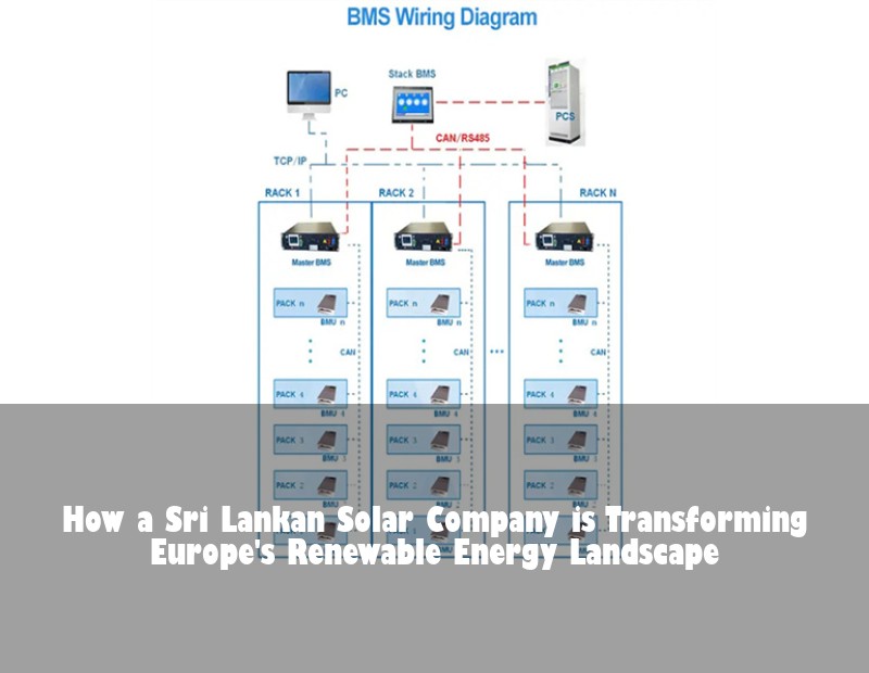 How a Sri Lankan Solar Company is Transforming Europe's Renewable Energy Landscape