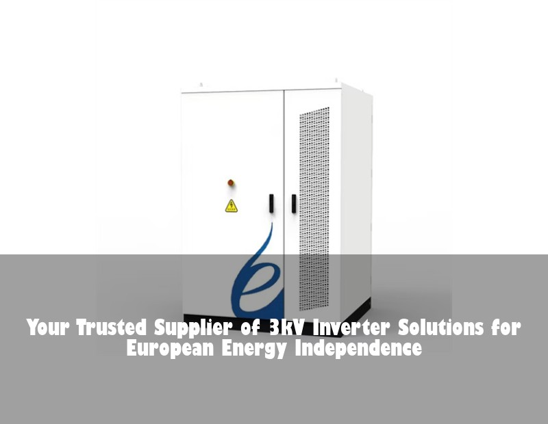 Your Trusted Supplier of 3kV Inverter Solutions for European Energy Independence