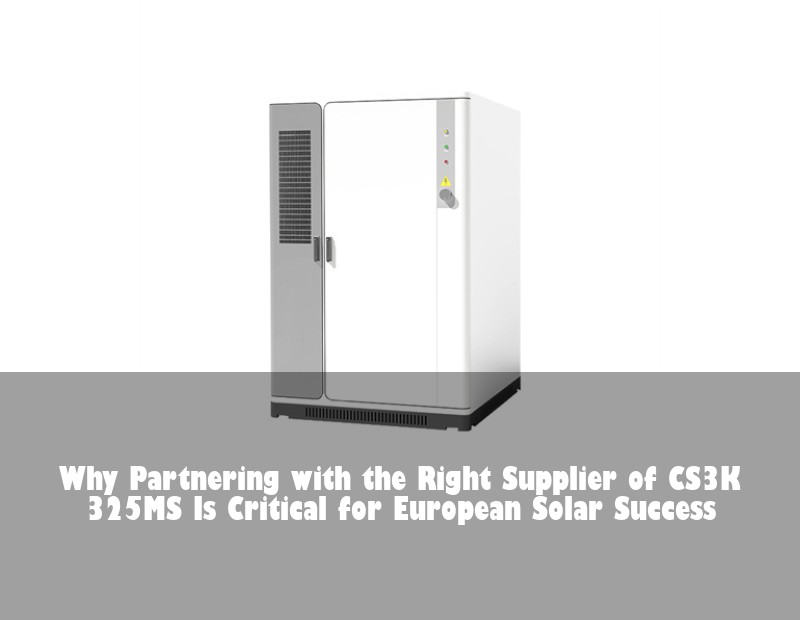 Why Partnering with the Right Supplier of CS3K 325MS Is Critical for European Solar Success