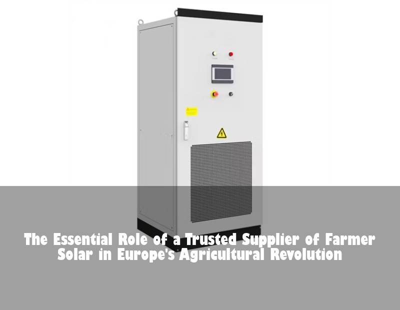 The Essential Role of a Trusted Supplier of Farmer Solar in Europe's Agricultural Revolution