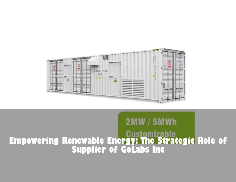 Empowering Renewable Energy: The Strategic Role of Supplier of GoLabs Inc