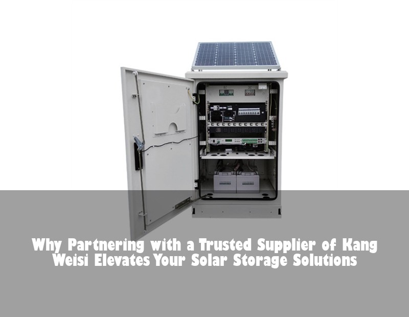 Why Partnering with a Trusted Supplier of Kang Weisi Elevates Your Solar Storage Solutions