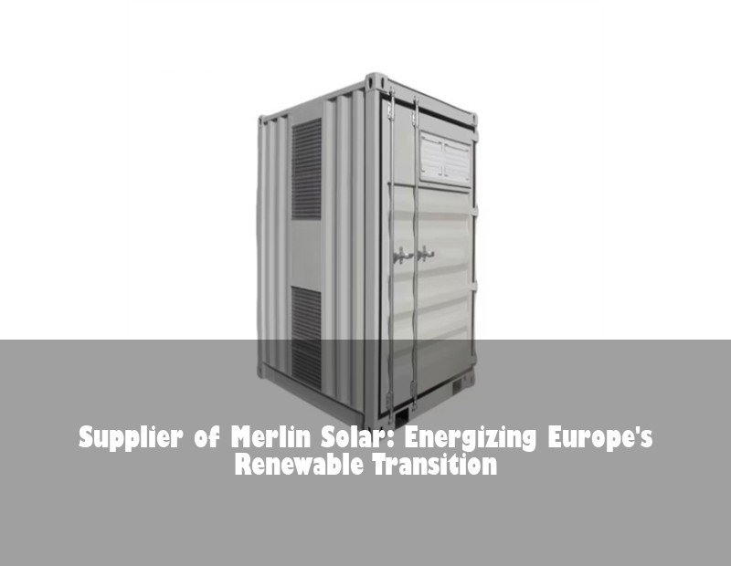 Supplier of Merlin Solar: Energizing Europe's Renewable Transition