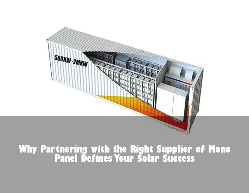 Why Partnering with the Right Supplier of Mono Panel Defines Your Solar Success