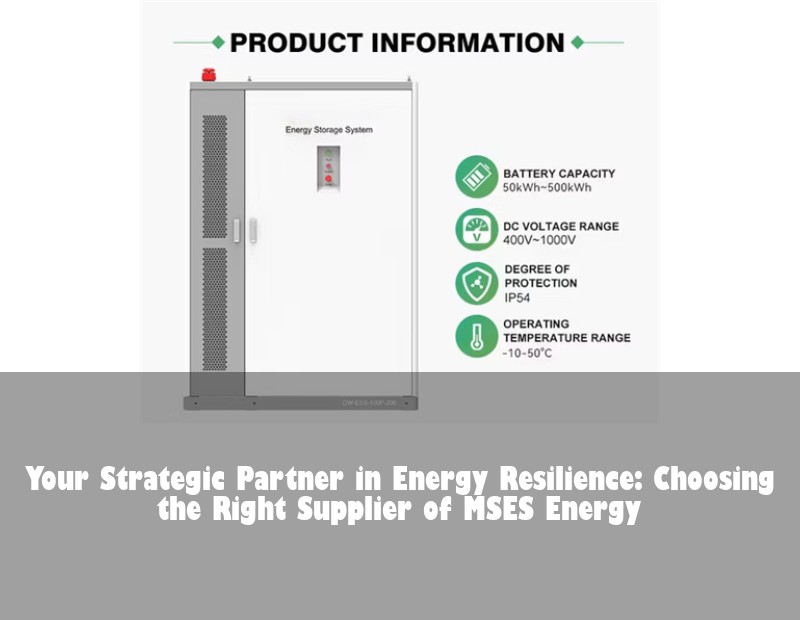 Your Strategic Partner in Energy Resilience: Choosing the Right Supplier of MSES Energy