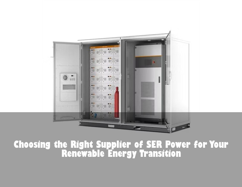 Choosing the Right Supplier of SER Power for Your Renewable Energy Transition