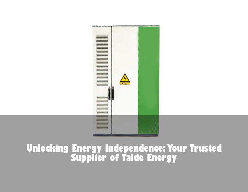 Unlocking Energy Independence: Your Trusted Supplier of Talde Energy