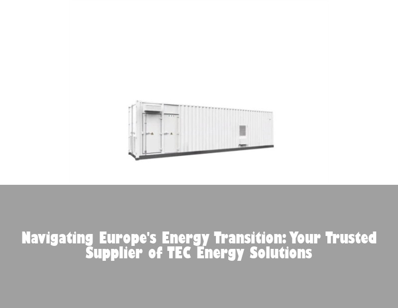 Navigating Europe's Energy Transition: Your Trusted Supplier of TEC Energy Solutions