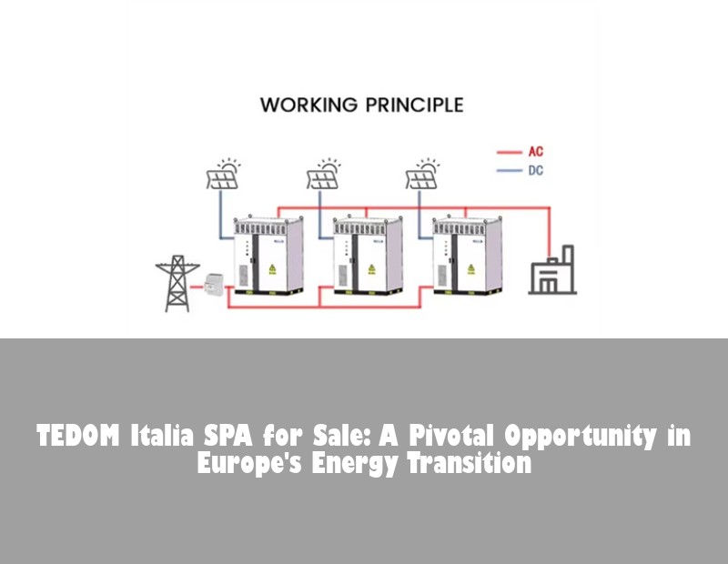 TEDOM Italia SPA for Sale: A Pivotal Opportunity in Europe's Energy Transition