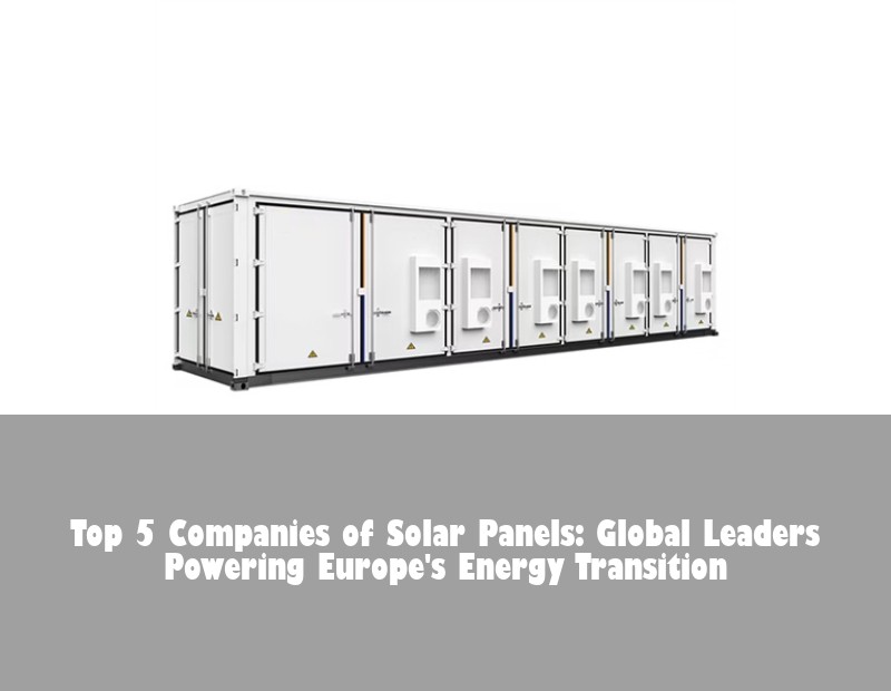 Top 5 Companies of Solar Panels: Global Leaders Powering Europe's Energy Transition | Huijue Solar