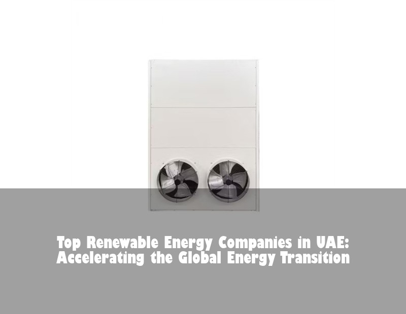 Top Renewable Energy Companies in UAE: Accelerating the Global Energy Transition