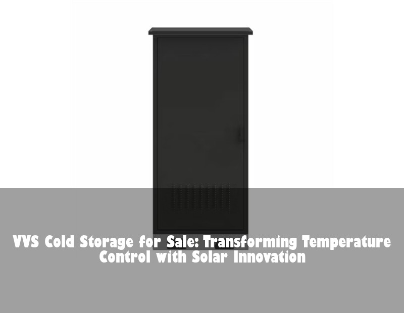 VVS Cold Storage for Sale: Transforming Temperature Control with Solar Innovation