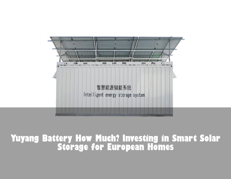 Yuyang Battery How Much? Investing in Smart Solar Storage for European Homes