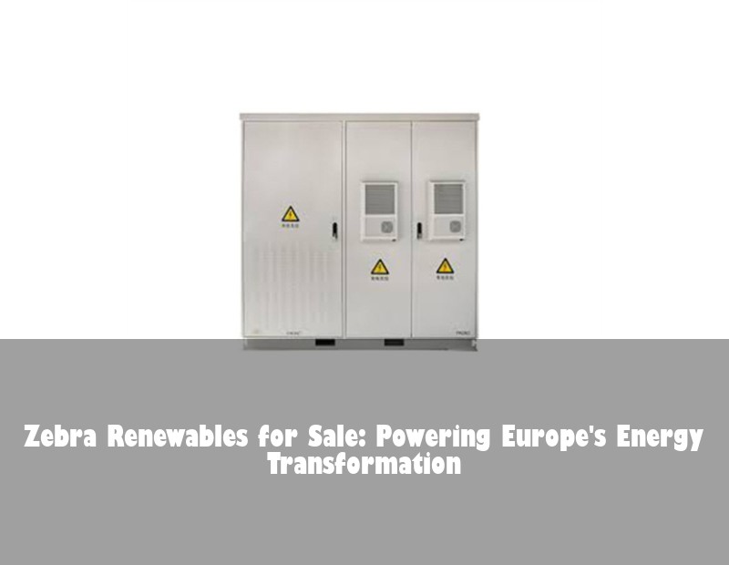Zebra Renewables for Sale: Powering Europe's Energy Transformation